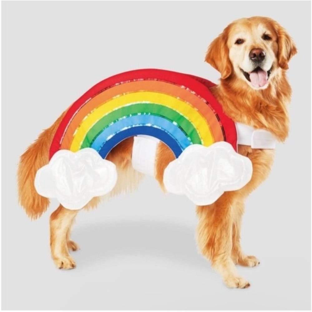 NWOT XS Target Hide & Eek Rainbow Pet Costume! 🌈